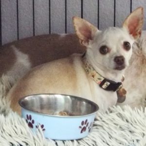 Picture of LiLi