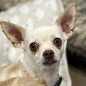Picture of LiLi