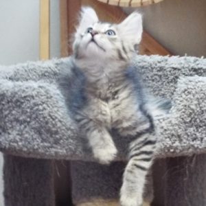 Picture of Lily