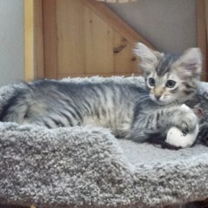 Picture of Lily