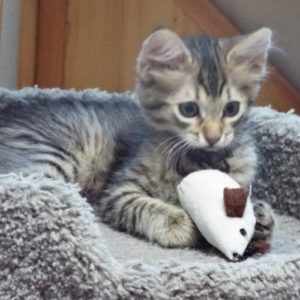 Picture of Lily