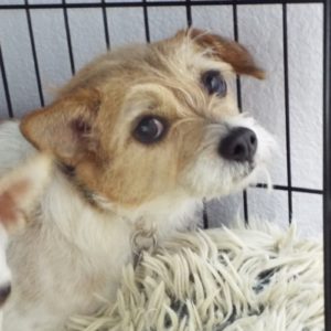 Picture of Maggie