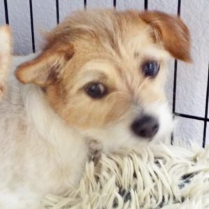 Picture of Maggie