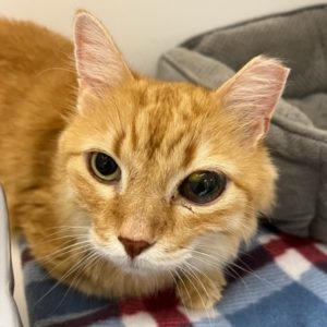 Picture of Spike