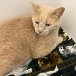 Picture of Oliver