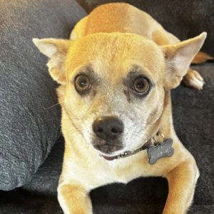 Picture of Phoebe