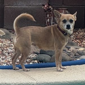 Picture of Phoebe