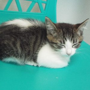 Picture of Thumbelina