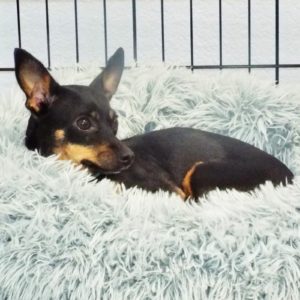 Picture of Baby Cakes