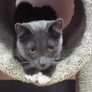 Picture of Betty (R.B.)