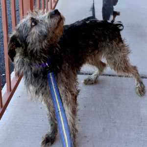 Picture of Jake