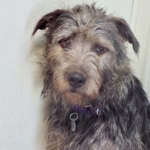 Picture of Jake