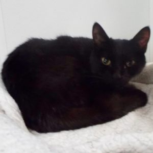 Picture of Lucy Lu