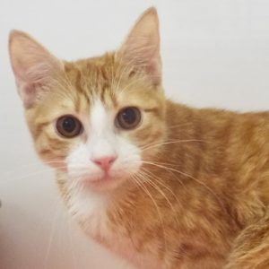 Picture of Quinn