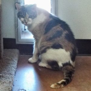 Picture of Baby Girl (R.B.)