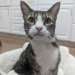 Picture of Carl