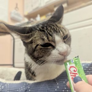 Picture of Carl