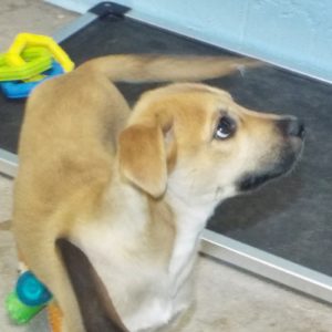Picture of Ethel