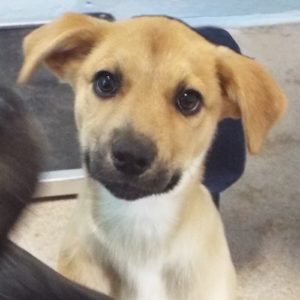 Picture of Ethel
