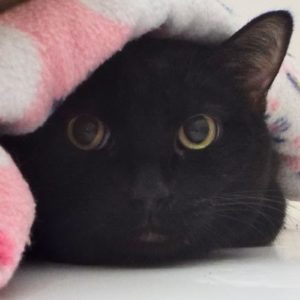 Picture of Frank