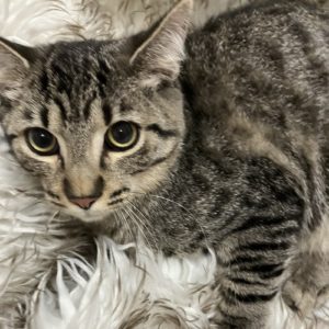 Picture of Giovanni