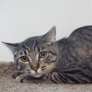 Picture of Giovanni