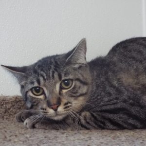 Picture of Giovanni