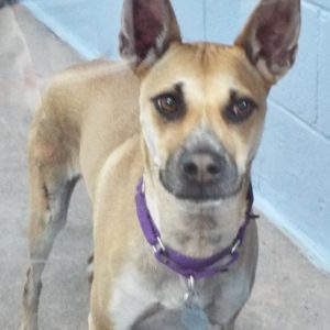 Picture of Lucy