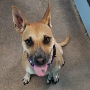 Picture of Lucy