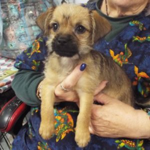 Picture of Minnie
