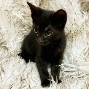 Picture of Tom