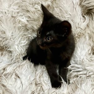Picture of Tom