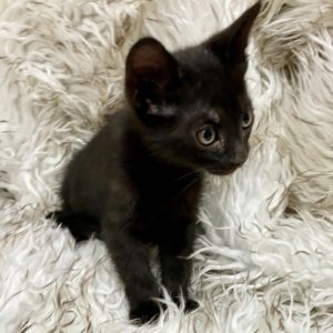 Picture of Tom