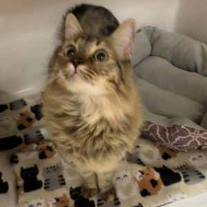 Picture of Lisa
