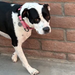 Picture of Madison