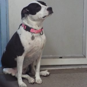 Picture of Madison