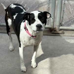 Picture of Madison