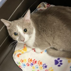 Picture of Sandy