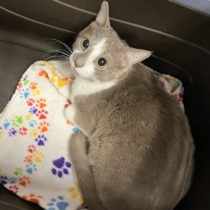 Picture of Sandy