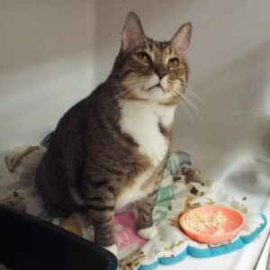 Picture of Bug