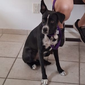 Picture of Cindy