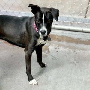 Picture of Cindy