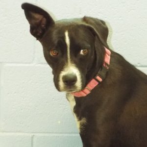 Picture of Cindy