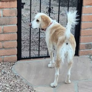 Picture of Gracie May
