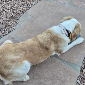Picture of Gracie May