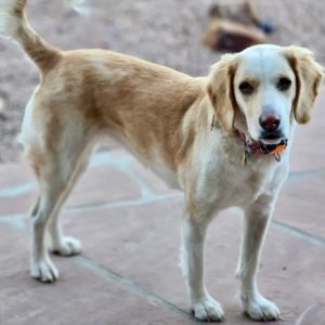 Picture of Gracie May
