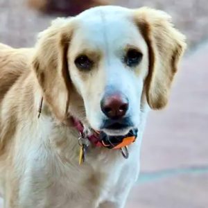 Picture of Gracie May