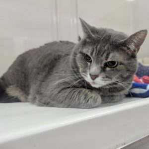 Picture of Lucy