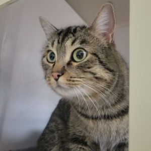 Picture of Max