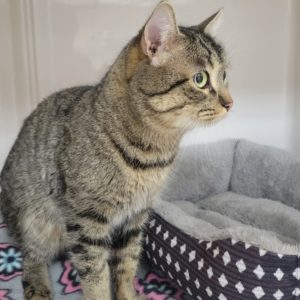 Picture of Max
